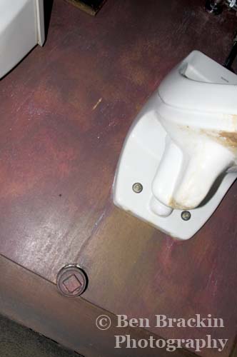 Standing Tall by Ben Brackin